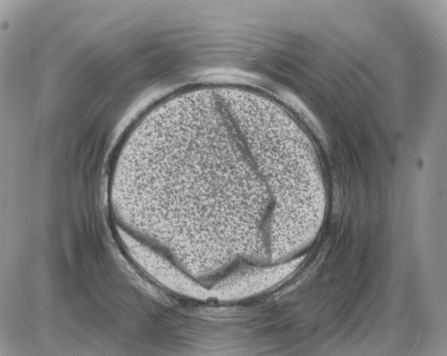 X0000086111376200704202255