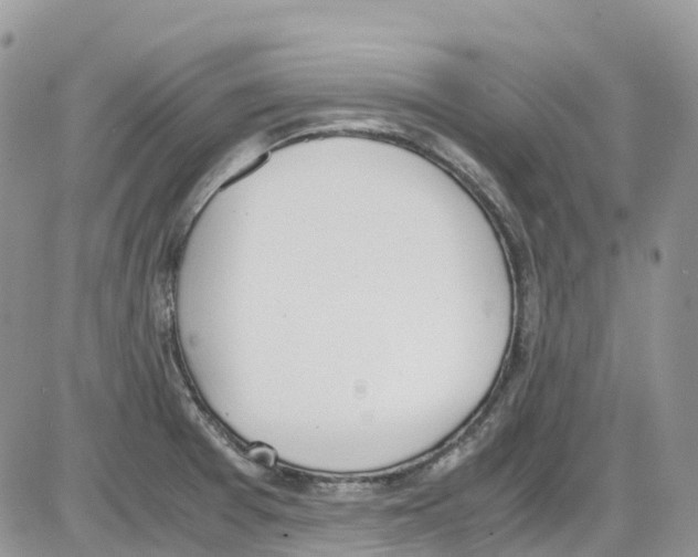 X0000086111377200704202255