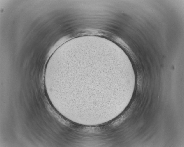 X0000086111378200704202255