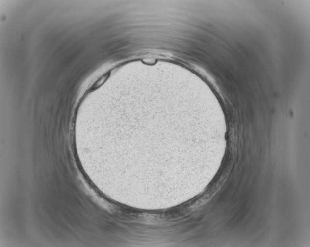 X0000086111379200704202255