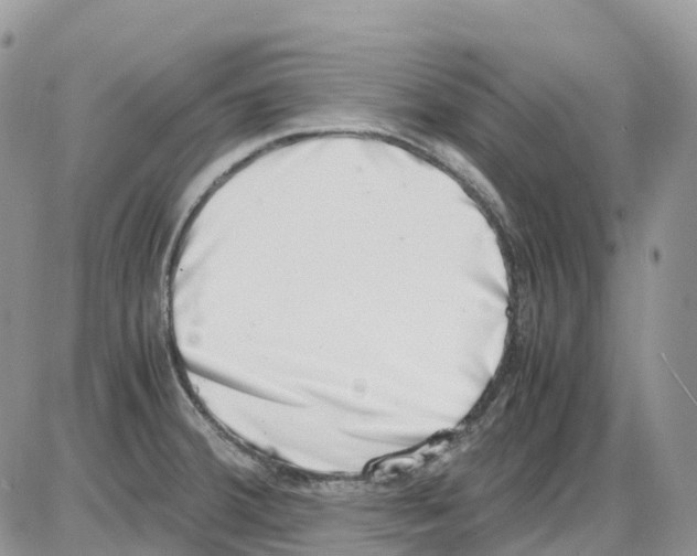 X0000086111380200704202255