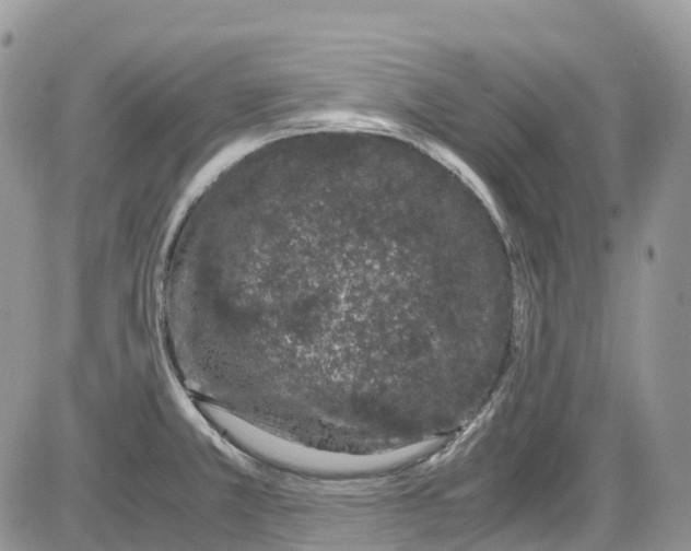 X0000086111381200704202255