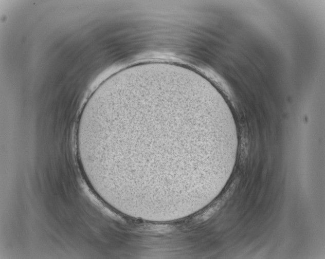 X0000086111382200704202255