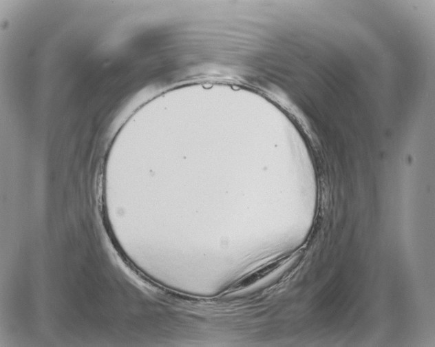 X0000086111383200704202255