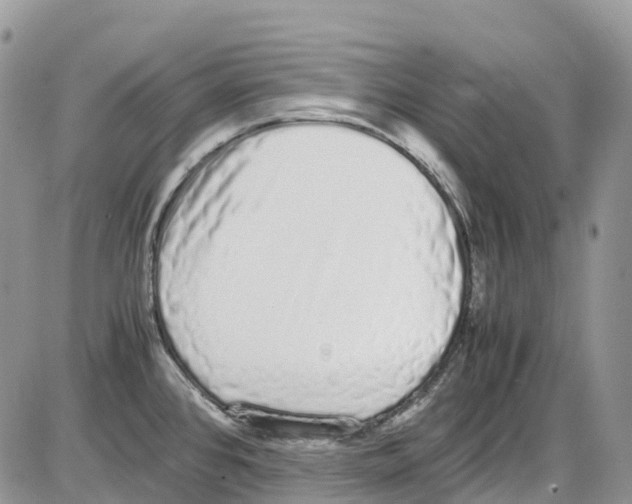 X0000086111384200704202255