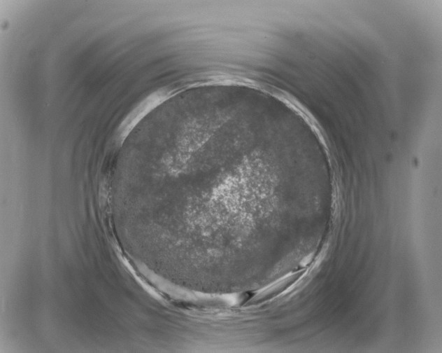 X0000086111385200704202255