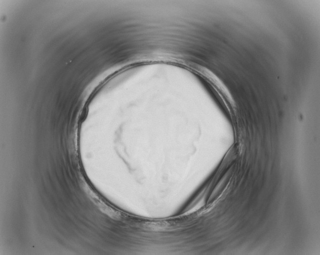 X0000086111388200704202255