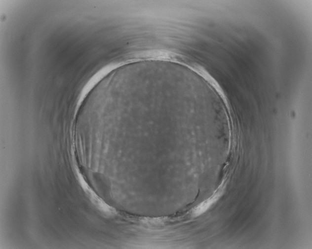 X0000086111389200704202255