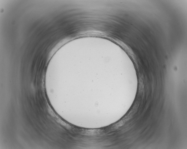 X0000086111390200704202255