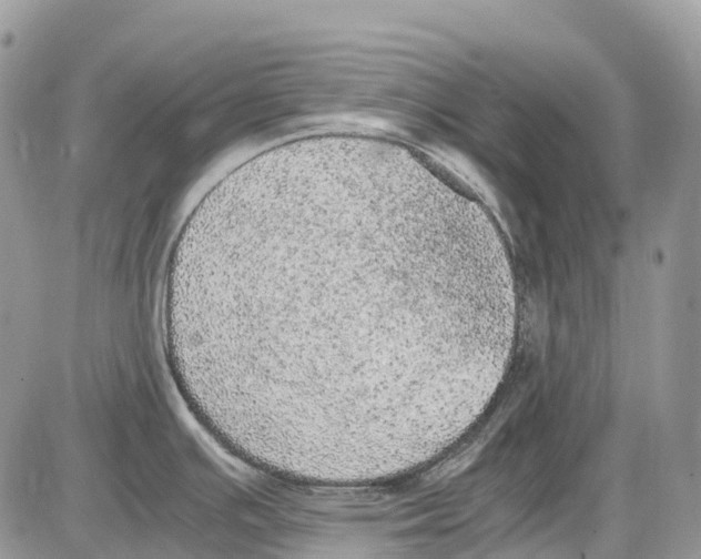 X0000086111391200704202255