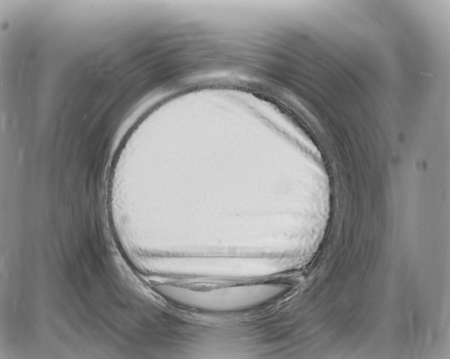 X0000086111392200704202255