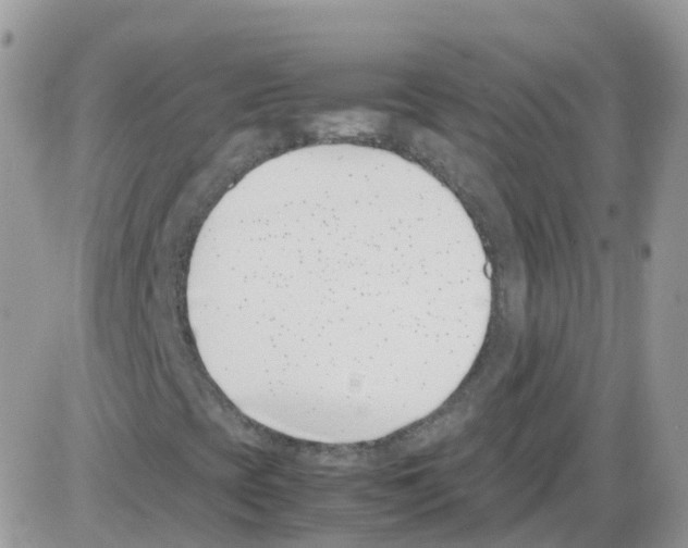 X0000086111393200704202254