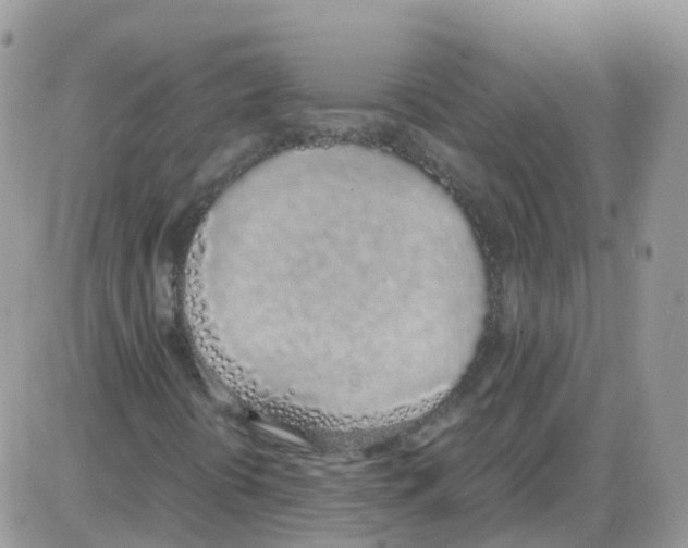 X0000086111394200704202254