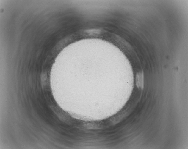 X0000086111395200704202254