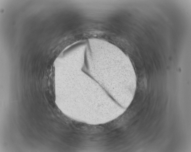 X0000086111397200704202254