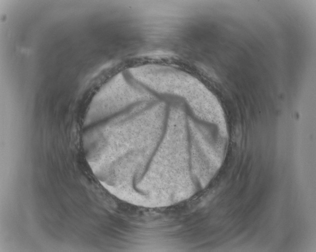 X0000086111398200704202254