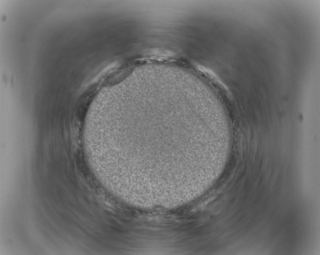 X0000086111399200704202254