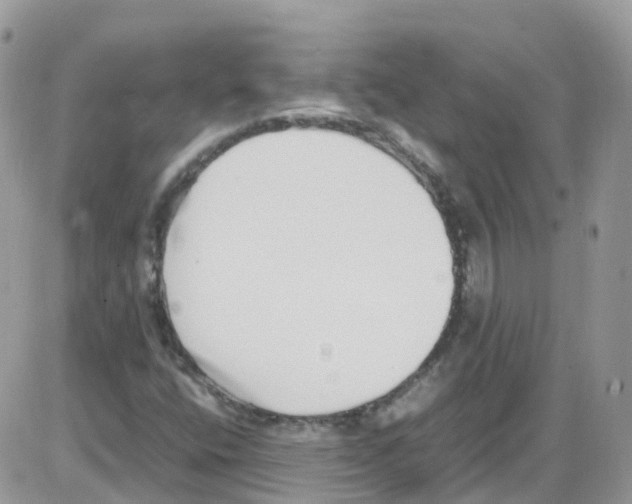 X0000086111400200704202254