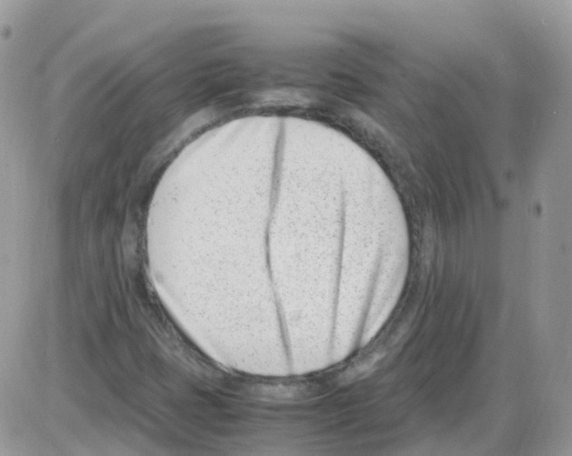 X0000086111401200704202254