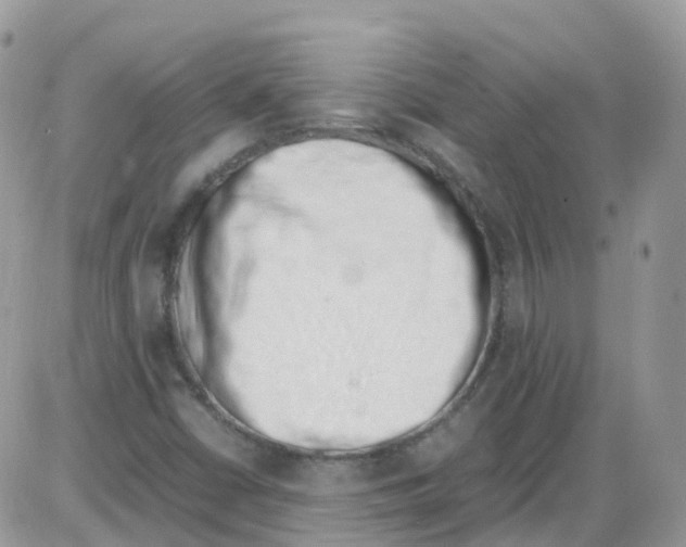 X0000086111402200704202254