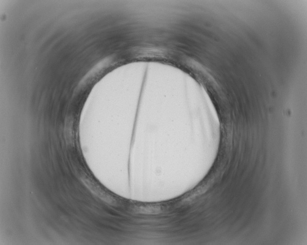 X0000086111403200704202254