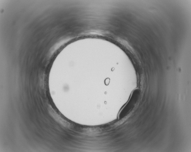 X0000086111404200704202254