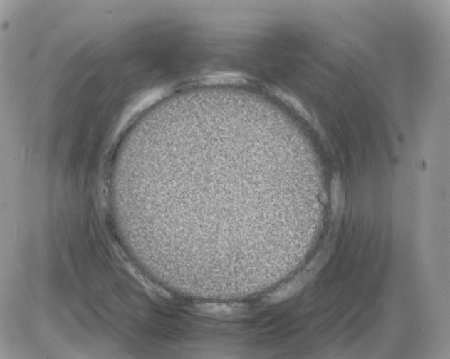 X0000086111405200704202254