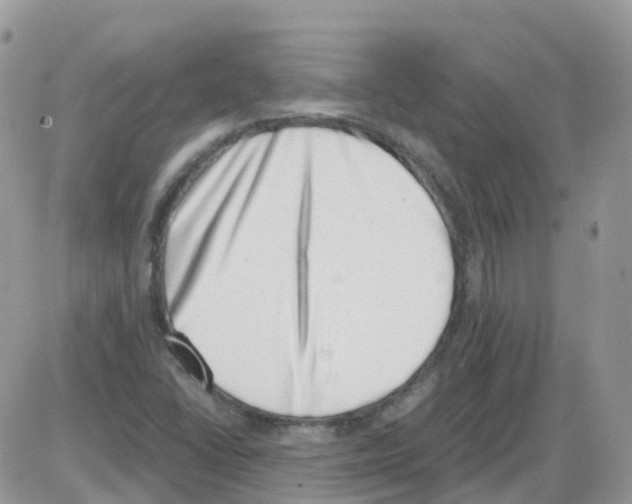 X0000086111406200704202254