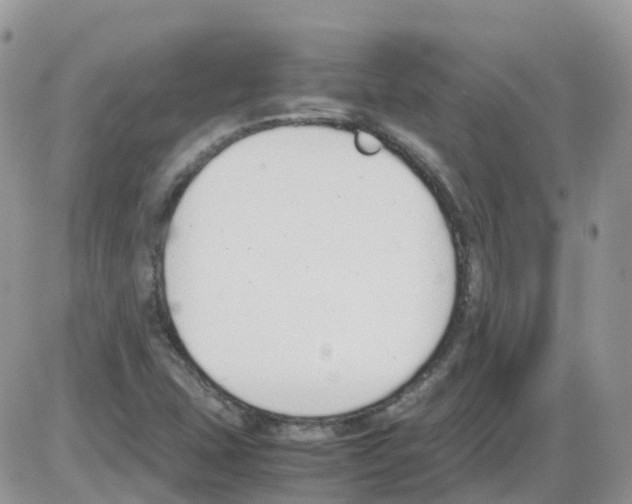 X0000086111407200704202254