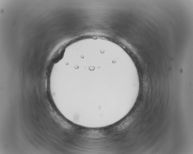 X0000086111408200704202254