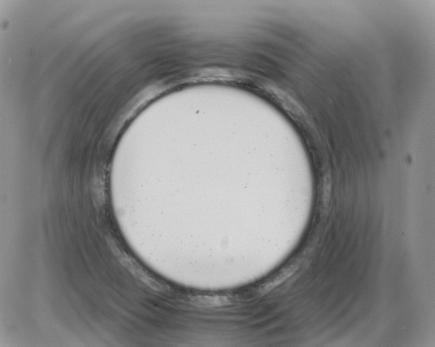 X0000086111409200704202254