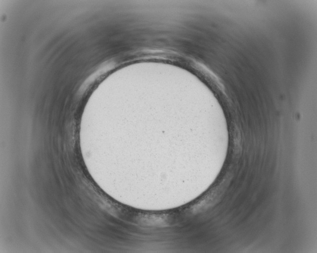 X0000086111411200704202254