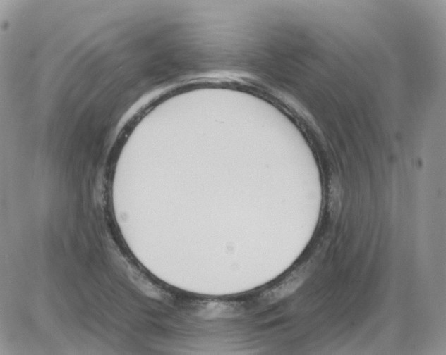 X0000086111412200704202254