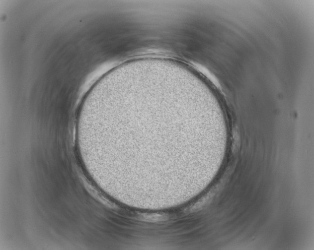 X0000086111413200704202254