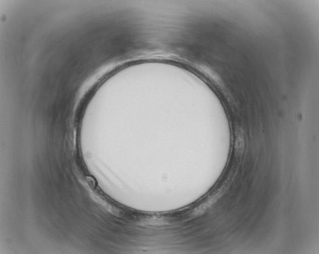 X0000086111414200704202254