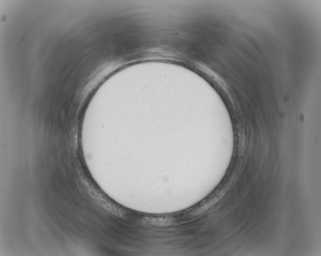 X0000086111415200704202254