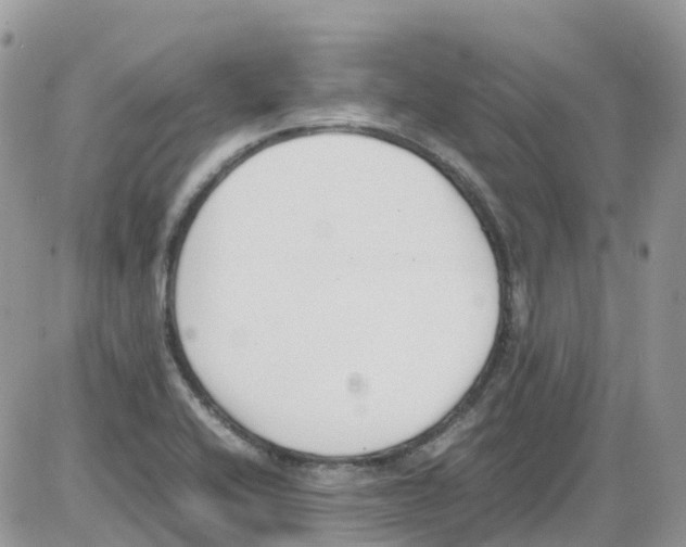 X0000086111416200704202254