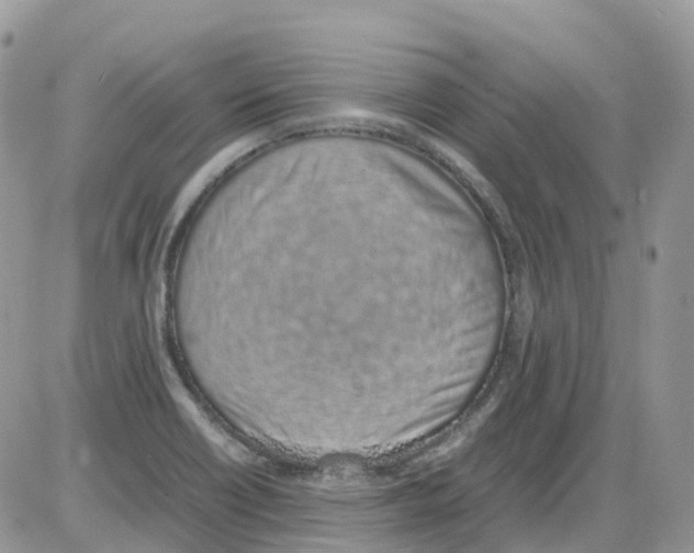 X0000086111418200704202254