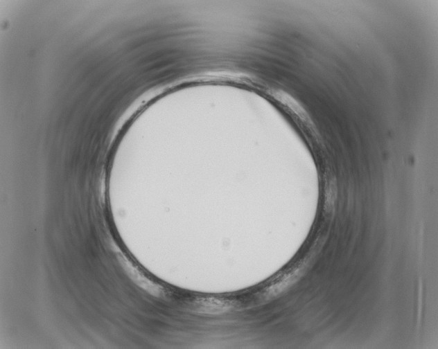 X0000086111420200704202254