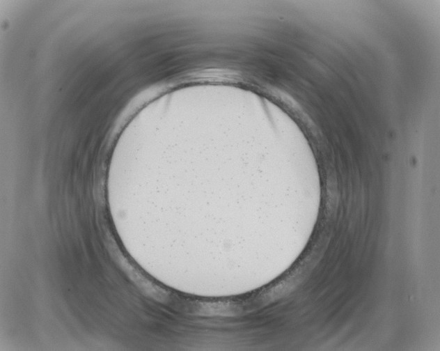 X0000086111421200704202254