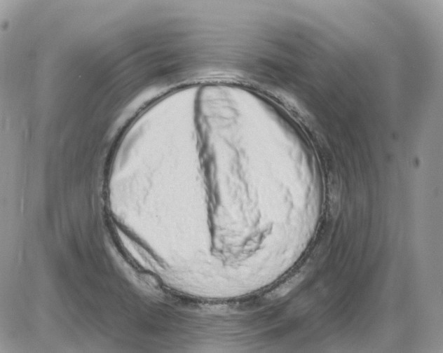 X0000086111422200704202254