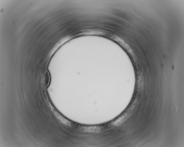 X0000086111425200704202254