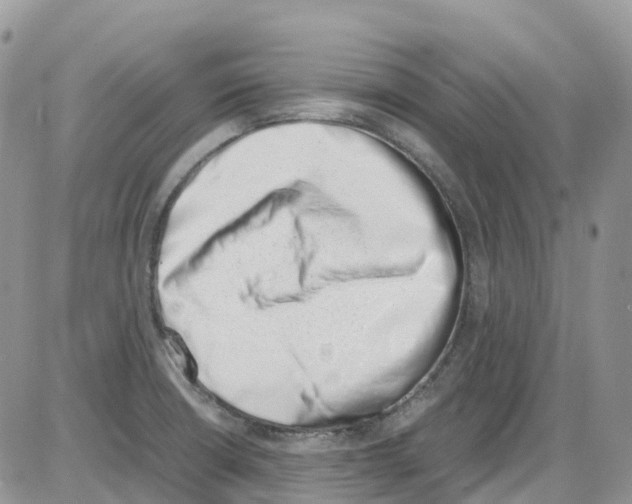 X0000086111426200704202255