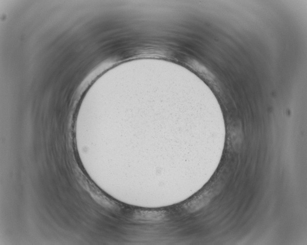 X0000086111427200704202255