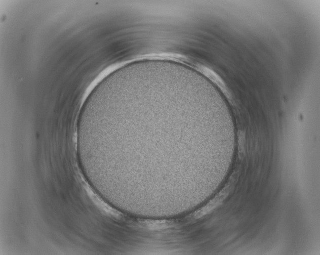 X0000086111428200704202255