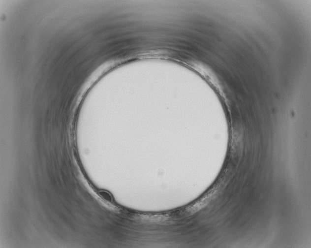 X0000086111429200704202255