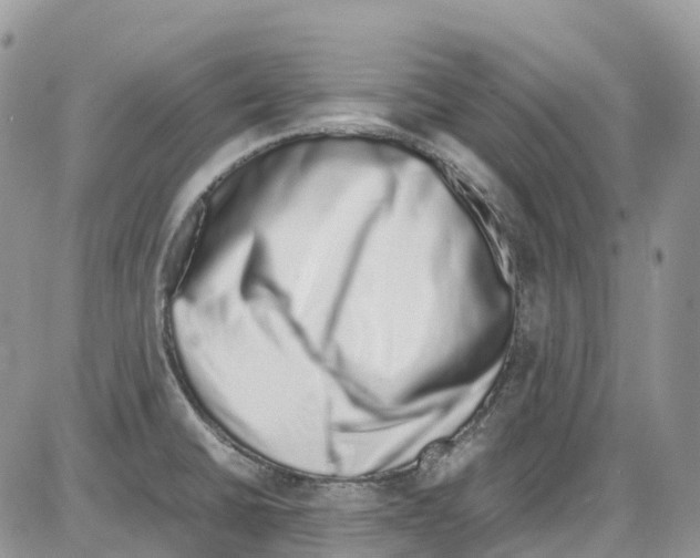 X0000086111430200704202255