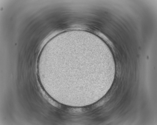 X0000086111431200704202255