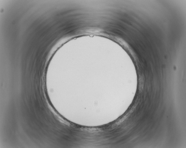 X0000086111432200704202255