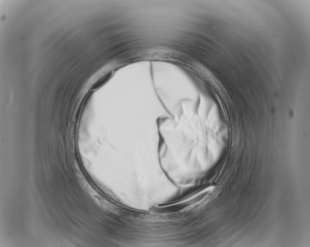 X0000086111434200704202255